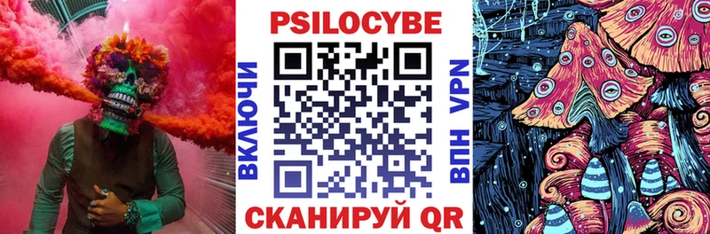 как найти закладки  Новотитаровская  Псилоцибиновые грибы ЛСД 