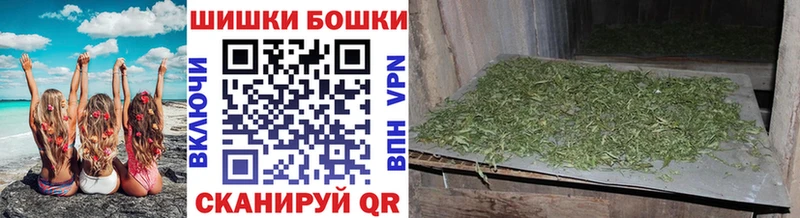 Шишки марихуана ГИДРОПОН  площадка телеграм  Новотитаровская  купить наркотики сайты 